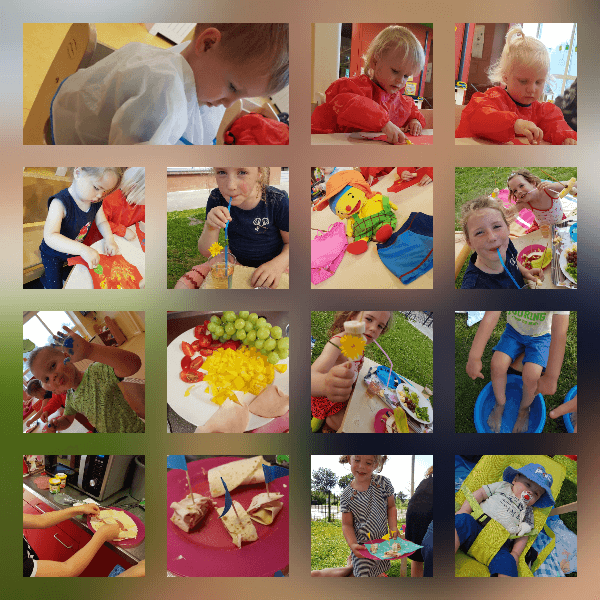 BSO Damwâld De Blokkedoaze foto 8