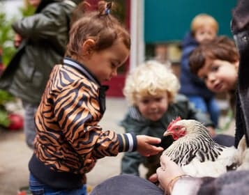 KDV Willemijntje foto 8