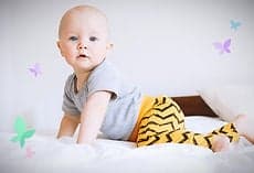 Kinderdagverblijf De Vlinderboom Zeewolde foto 10