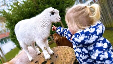 Kinderopvang Piccolini 2