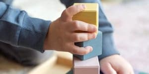 De Vuurvogel foto 10