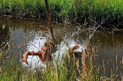 De ZON!nepoel foto 4