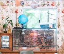 De ZON!nepoel foto 9