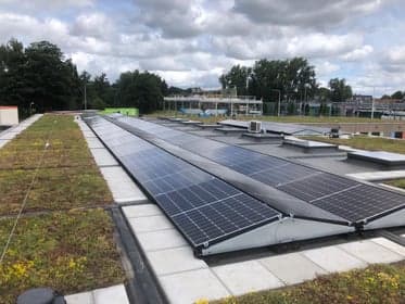 Fransje Plukkebol foto 6