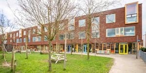 Goudwinde Jo Eversstraat