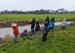 De Bosklimmers foto 4