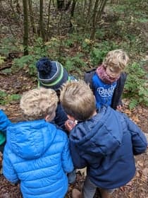 De Bosklimmers foto 5