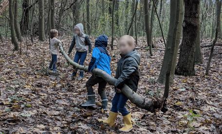 De Bosklimmers foto 8
