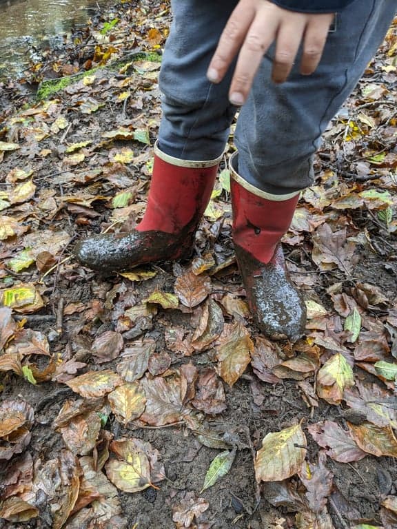 De Bosklimmers foto 9