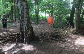 BSO Het Berenparadijs foto 4