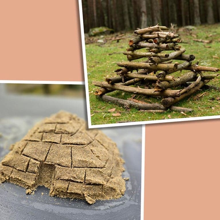 BSO De Steltloper foto 8