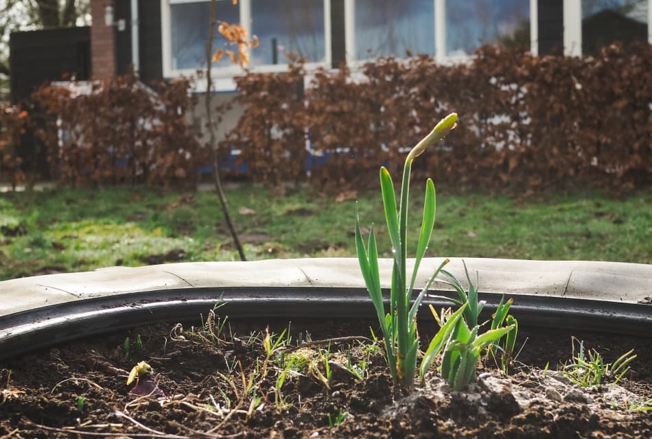 Op ùs pleats foto 10