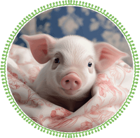 Kinderdagverblijf Varkentje Lief 3 3