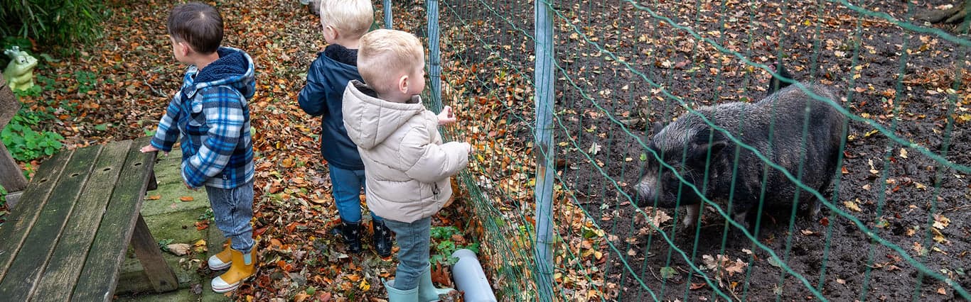Kinderdagverblijf Varkentje Lief 3 foto 5