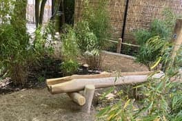 De Vrije Verkenners foto 6