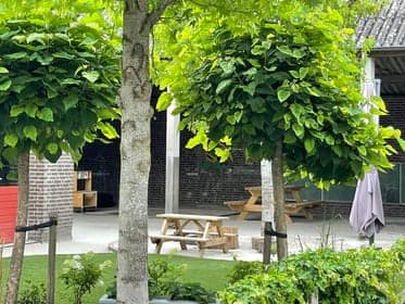 Nummereen Kinderopvang 0-4 jaar locatie Riethoven foto 5