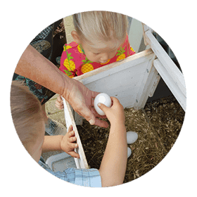 Pit Groeihuis foto 7