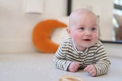 De Wiebelwagen B.V. 3