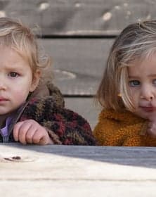 De Wiebelwagen B.V. foto 8