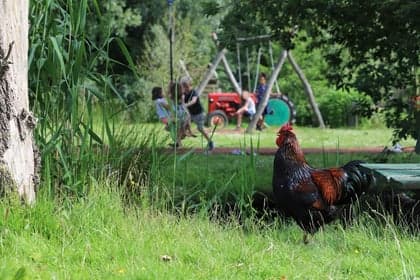 BSO de Beukelseberg - Jeugdland 2