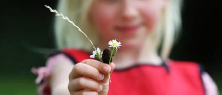 BSO de Beukelseberg - Jeugdland foto 7