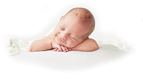 Pinguïns Happy Home foto 4