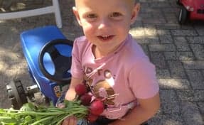 Kinderdagverblijf Het Boerderijtje foto 6