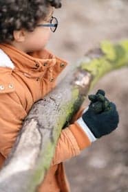 Zo aan de Van Vredenburchweg foto 8