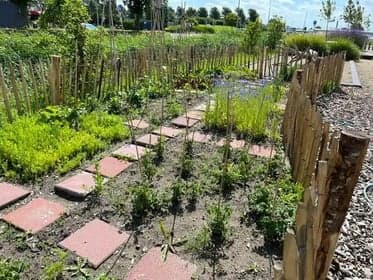 Buitenschoolse opvang Kudelstaart foto 5