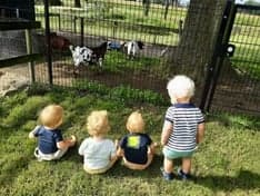 BSO Het Vossenhol foto 4