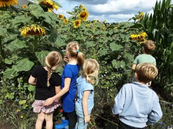 BSO Het Vossenhol foto 5