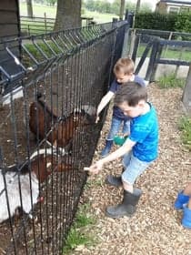 BSO Het Vossenhol foto 7