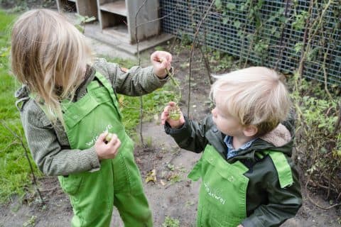 Wiedewei Mijnsheerenland 3