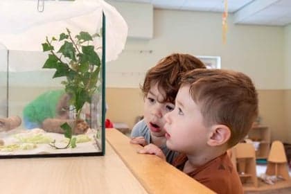 Wiedewei Mijnsheerenland foto 4