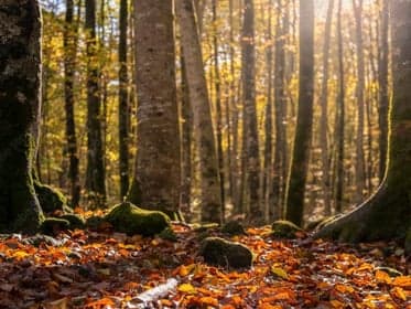 Club Basker - Ultramarijnhof foto 4