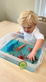 KDV Het Schovenhofje foto 8