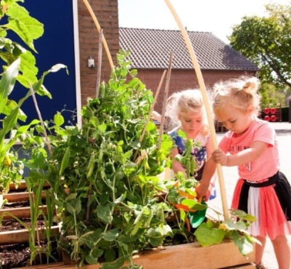 Kindercentrum Hoek foto 10