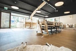 Partou KDV Koningskinderen De Bremer Stadsmuzikanten foto 5