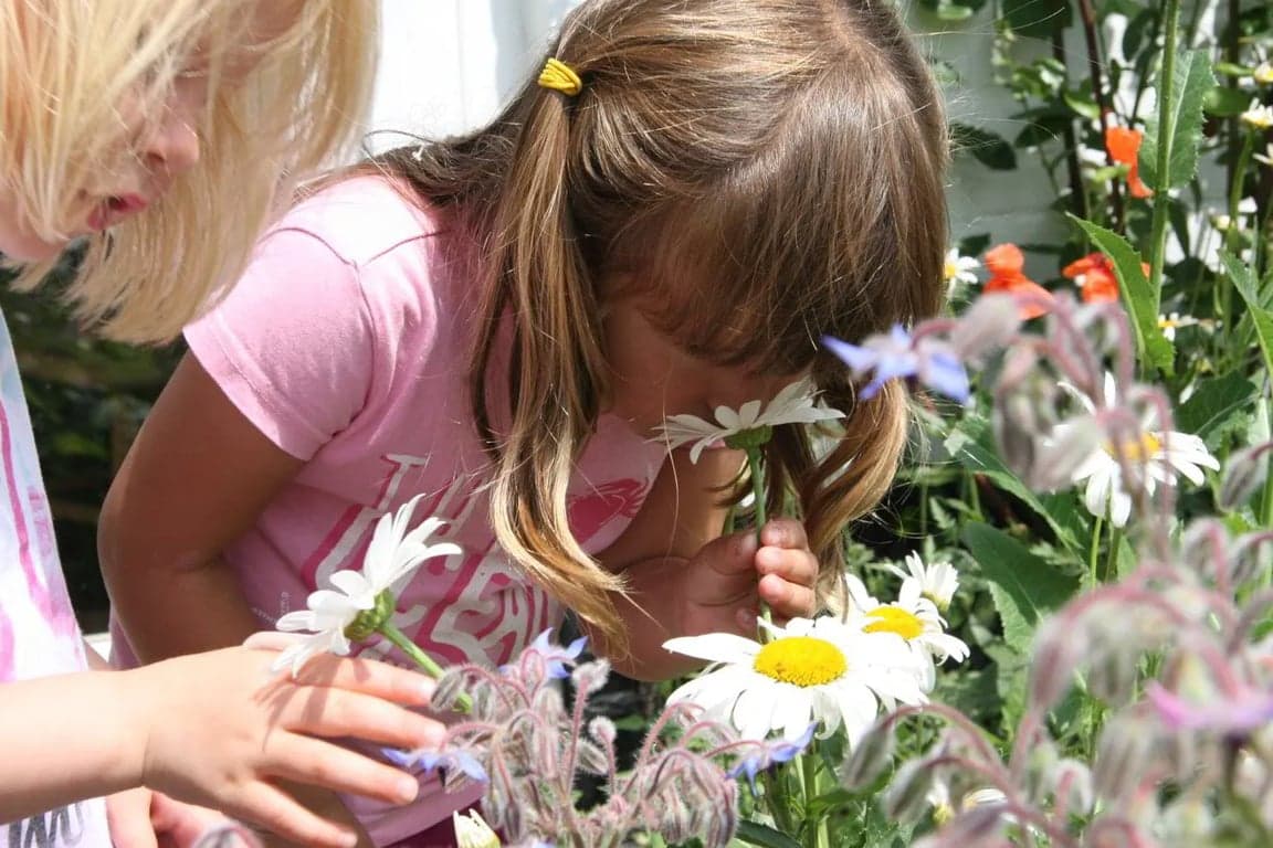 Kinderdagverblijf Teun 3