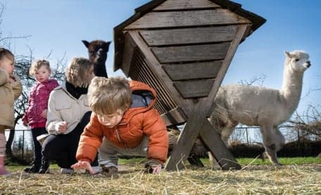 'Kids voor kinderen' Kinderopvang B.V. foto 6