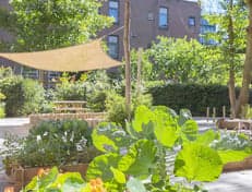 Kindergarden Amsterdam Voormalige Stadstimmertuin foto 5