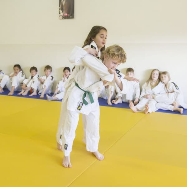 BSO Fascinatio foto 4