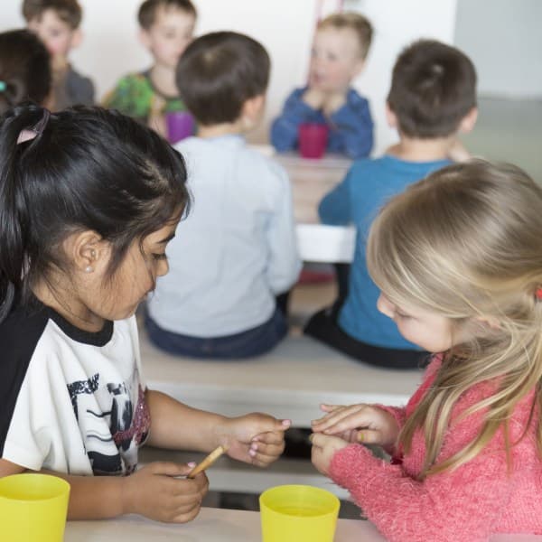 BSO Fascinatio foto 5