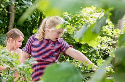 Vandaag BSO Sport & Cultuur Boornbergum 3