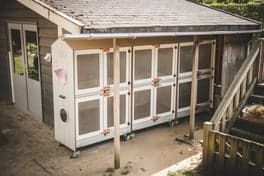 KDV Partou Canadasingel 10 foto 6