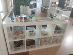 Les Petits Sport BSO Telstar foto 5