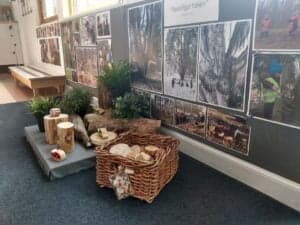 Les Petits Sport BSO Telstar foto 6