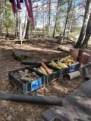 Les Petits Sport BSO Telstar foto 8