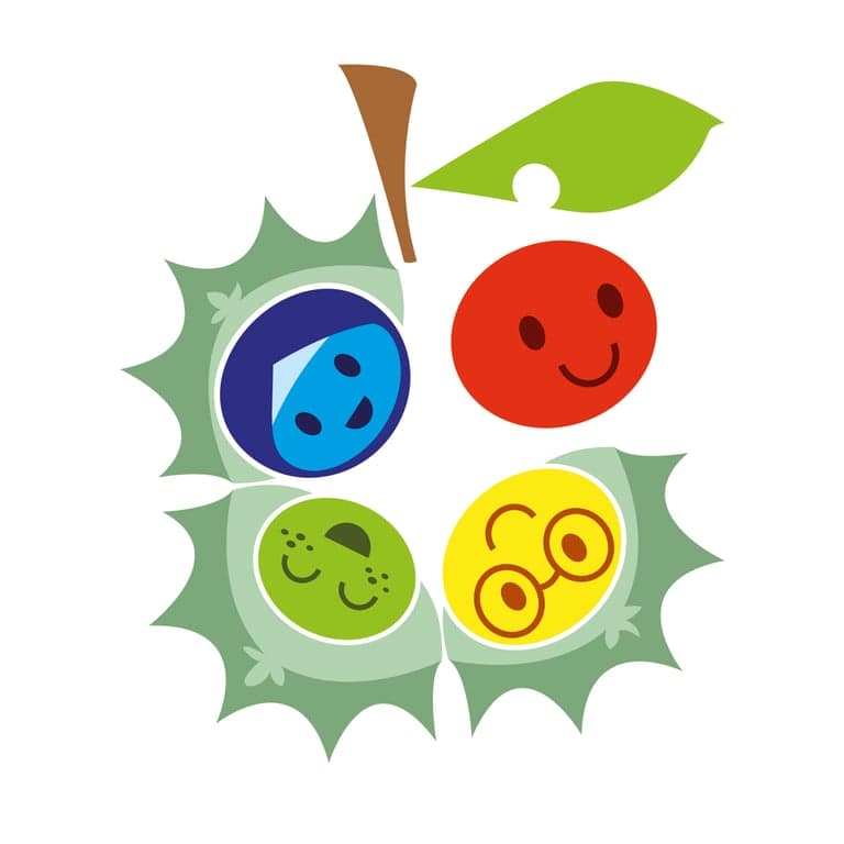 InOranje Raalte Centrum foto 5