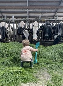 Agrarisch Kinderdagverblijf Koekeloeren 3